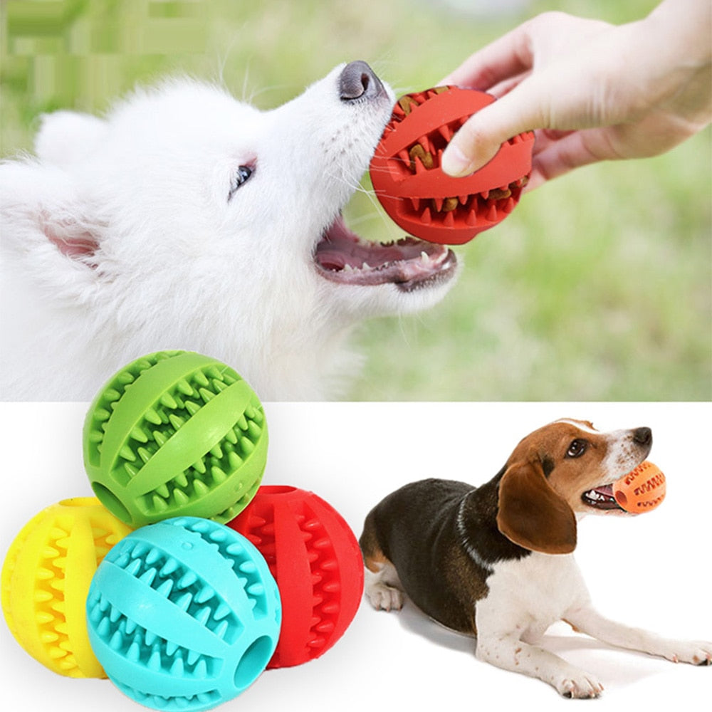 Pelotas interactivas y dispensadoras para mascotas